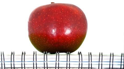 Teaching teens financial responsibility with an apple and notebook
