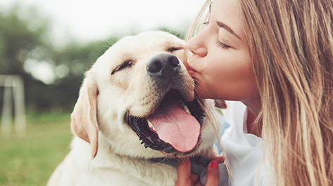 Get a puppy like this woman with her lab