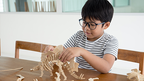 A little boy is creating dinosaurs like Tommy Tyrannosaurus Rex to learn about opportunity cost