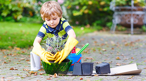 A boy turning his childhood hobby into a business by doing some yardwork